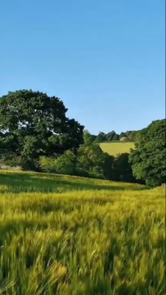 TikTok video thumbnail by rdjavikick.1