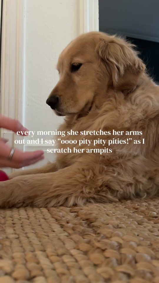 TikTok video thumbnail by mackandskye