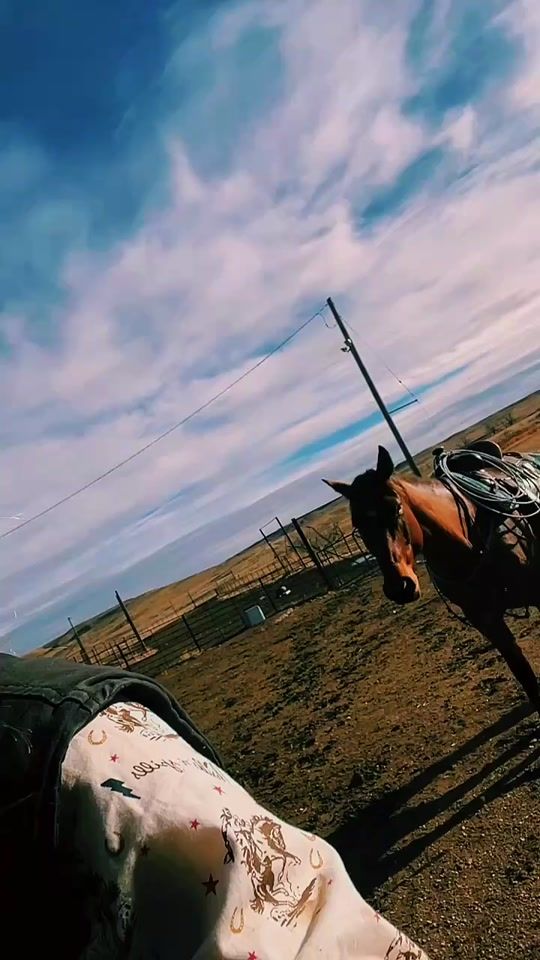 TikTok video thumbnail by jackhorse101