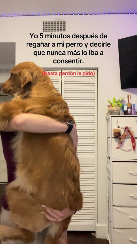 TikTok video thumbnail by mailo.commm