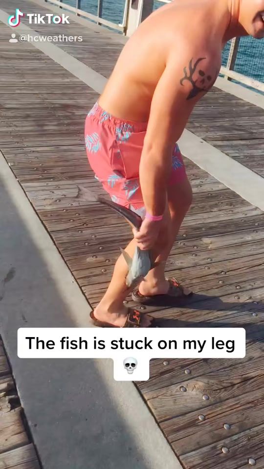 TikTok video thumbnail by hcweathers
