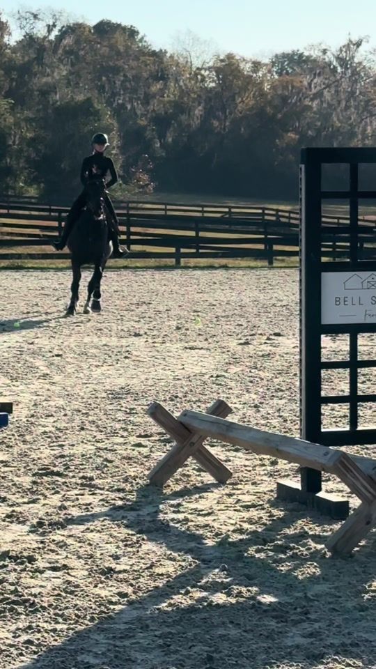 TikTok video thumbnail by mm.showjumping