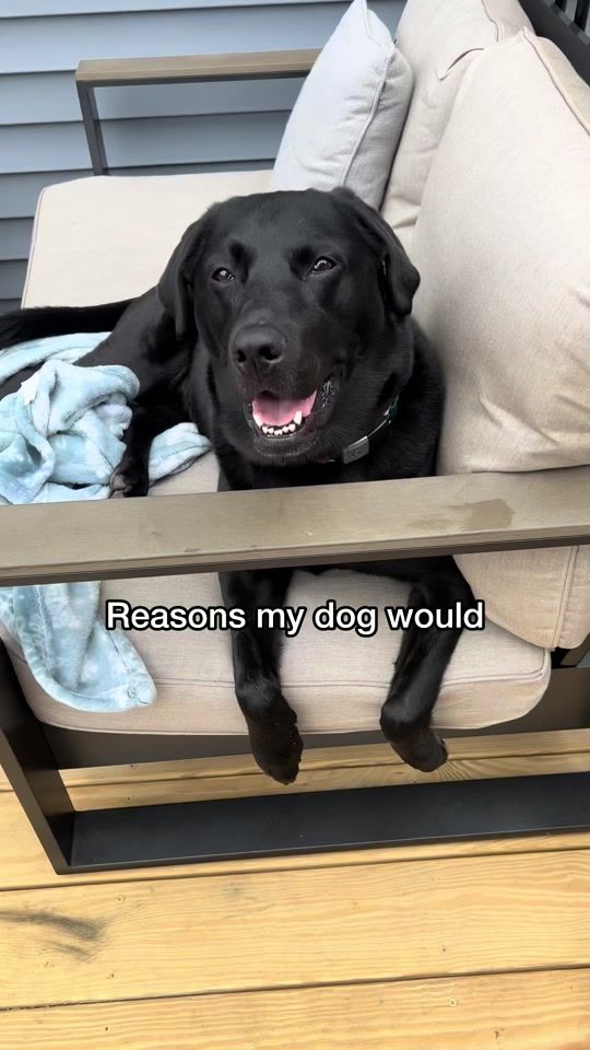 TikTok video thumbnail by imjaxthelab