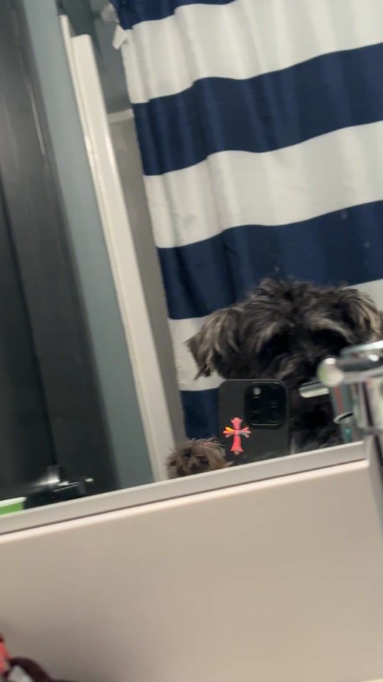 TikTok video thumbnail by littleblue___