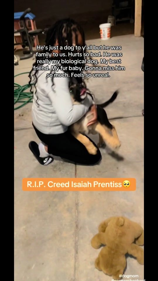 TikTok video thumbnail by iamashleyprentiss
