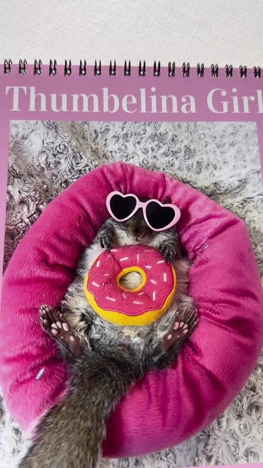 TikTok video thumbnail by little_thumbelina_girl