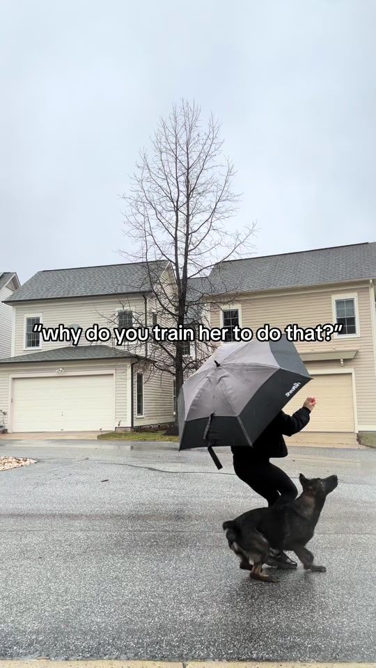 TikTok video thumbnail by thatk9.kota
