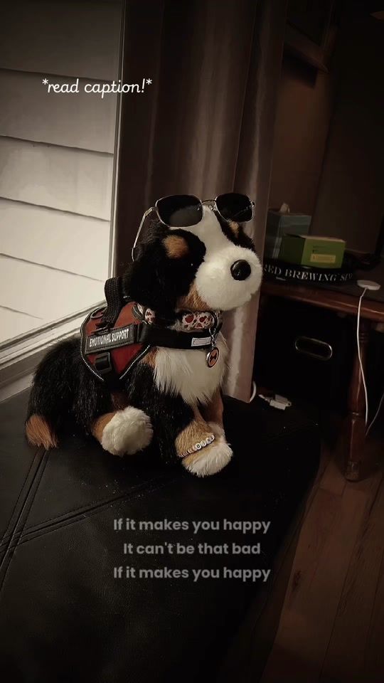 TikTok video thumbnail by theessapets