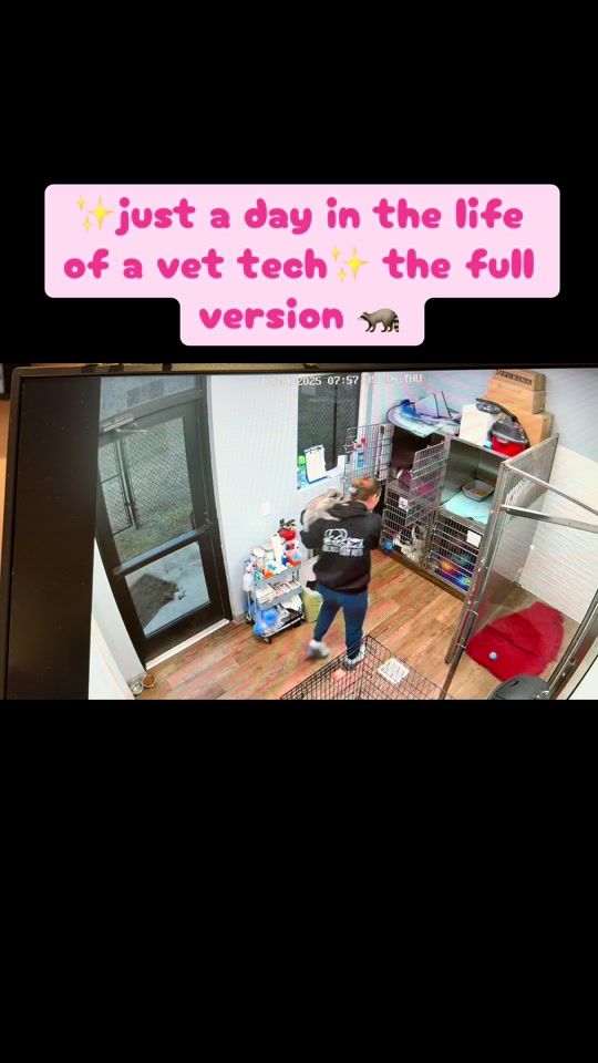 TikTok video thumbnail by rocketcityvets