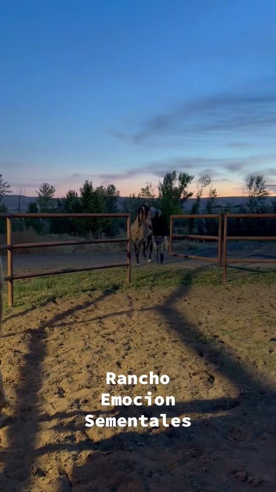 TikTok video thumbnail by ranchoemocion