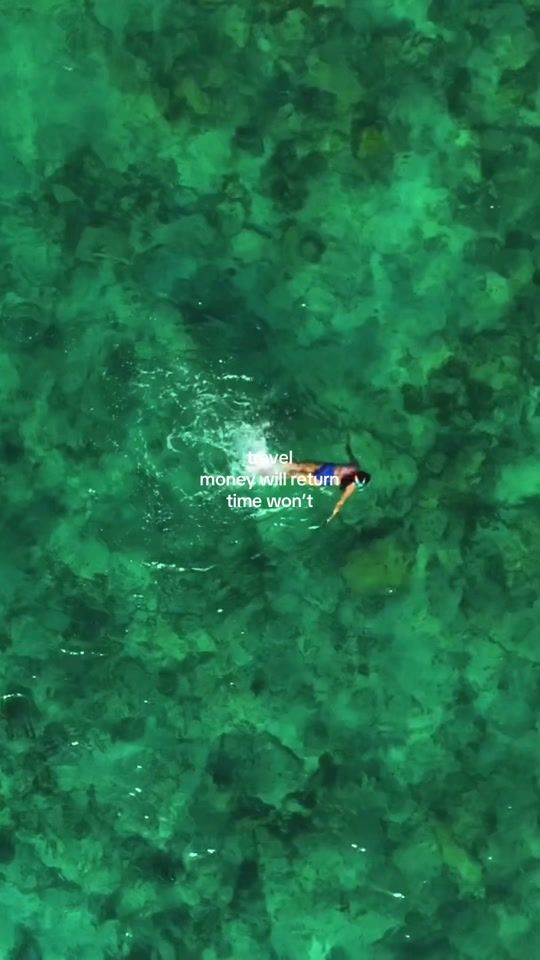 TikTok video thumbnail by geckovacations