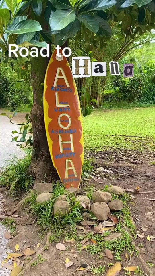 TikTok video thumbnail by flightsneverfeelings