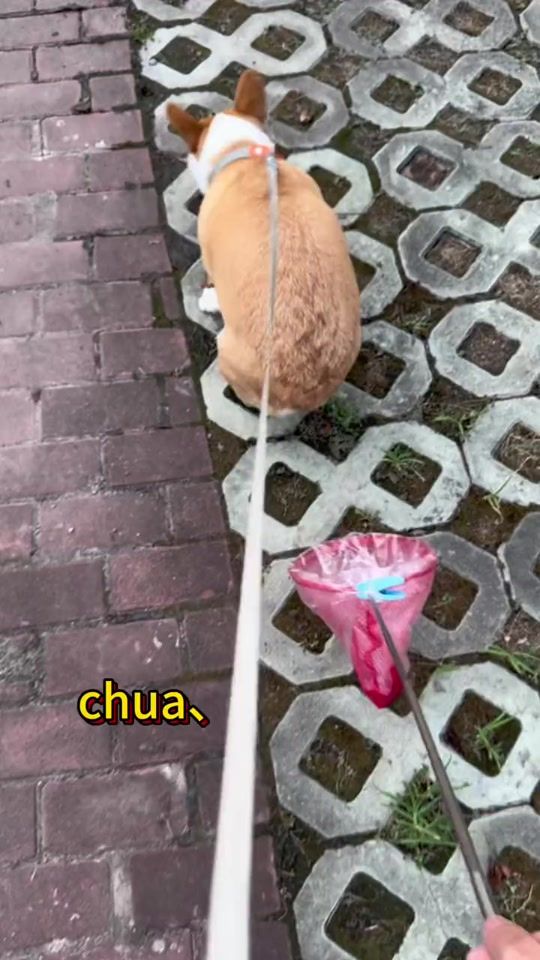 TikTok video thumbnail by bestchinesevideo