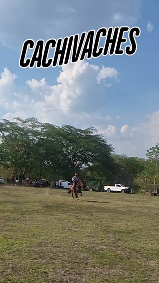 TikTok video thumbnail by cachivachesguaimaca