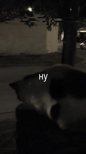 TikTok video thumbnail by music_liipsing
