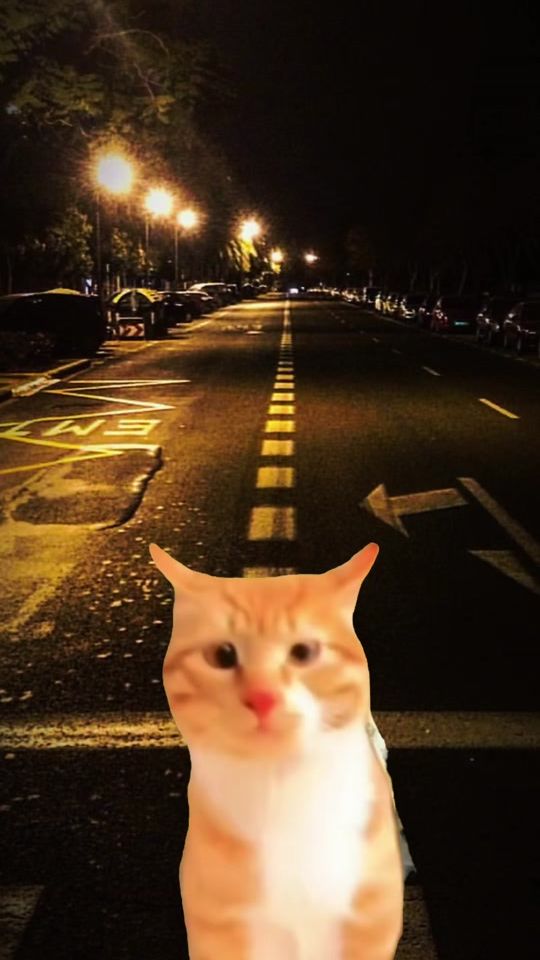 TikTok video thumbnail by nelson.ortez6