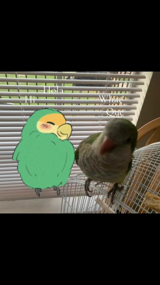 TikTok video thumbnail by coconut34177