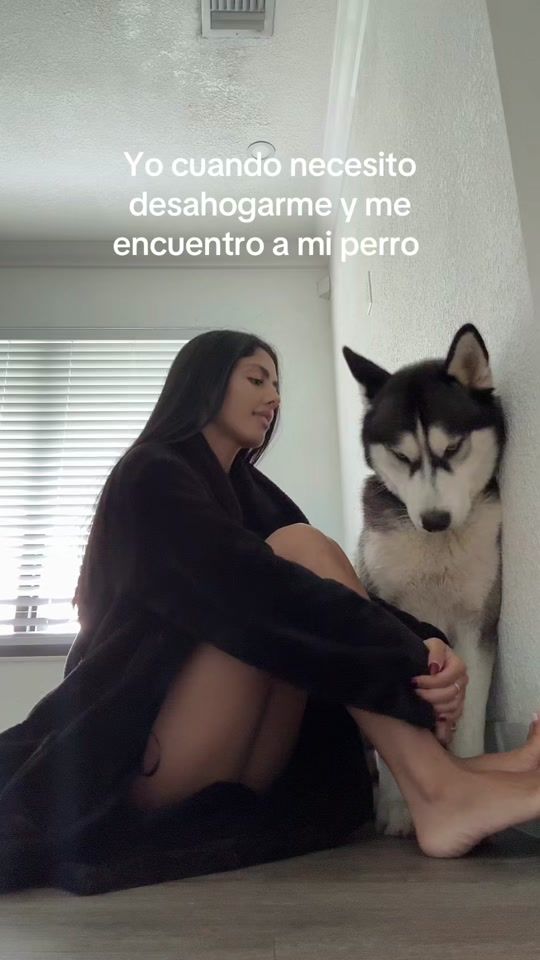 TikTok video thumbnail by brealarcon