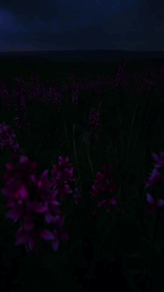 TikTok video thumbnail by musica.para.ti34