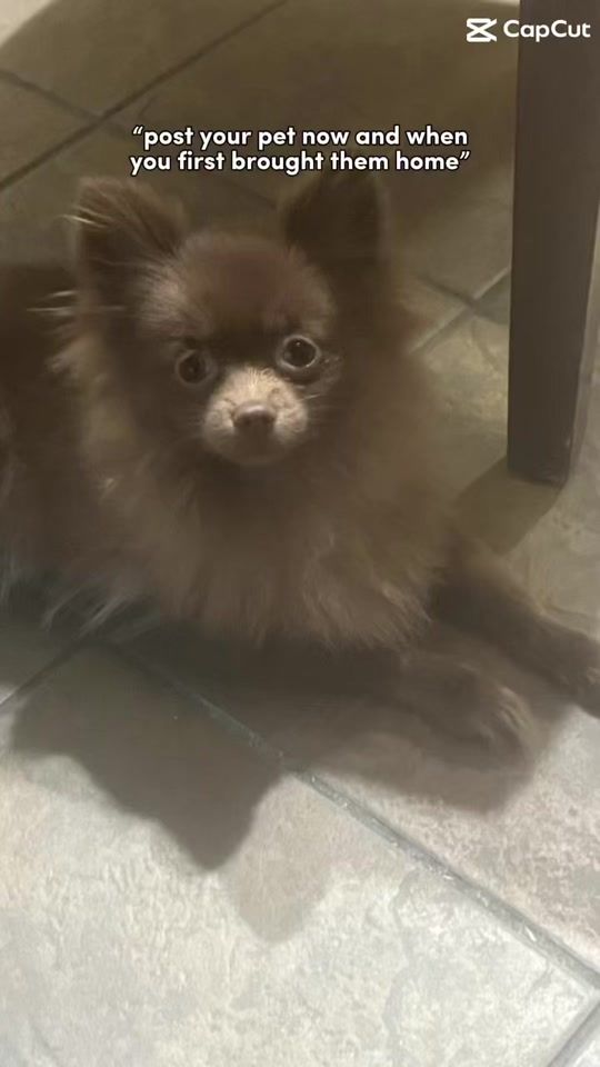 TikTok video thumbnail by aniyafbs4na