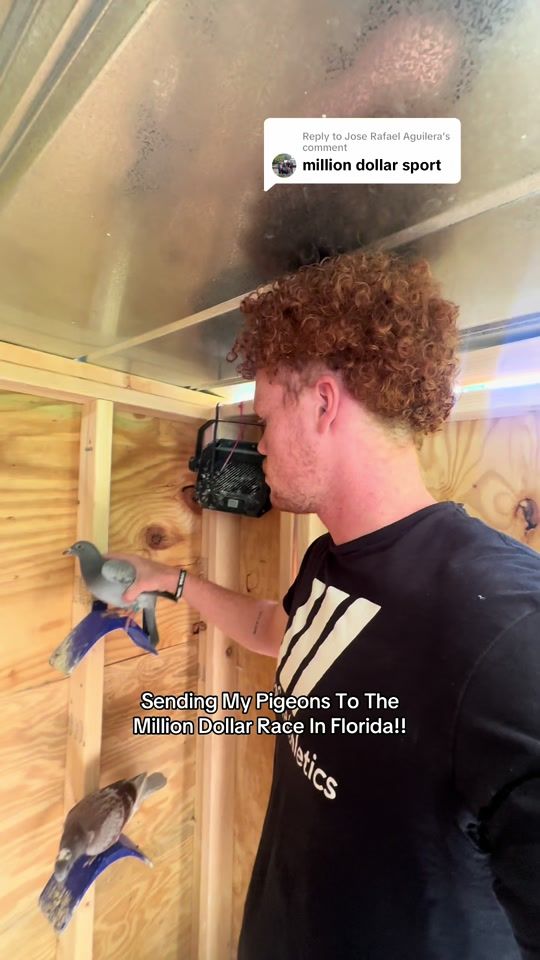 TikTok video thumbnail by thegabebollinger
