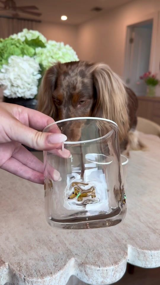 TikTok video thumbnail by indytheminidoxie