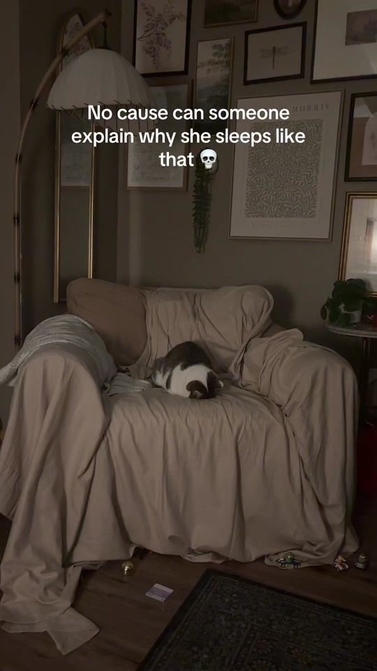 TikTok video thumbnail by .ashreads