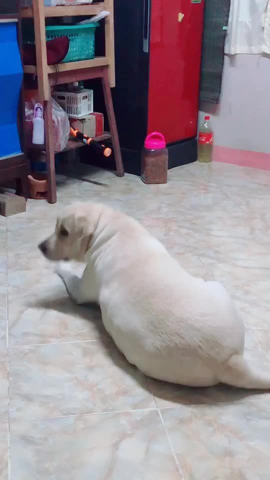 TikTok video thumbnail by cnsn282