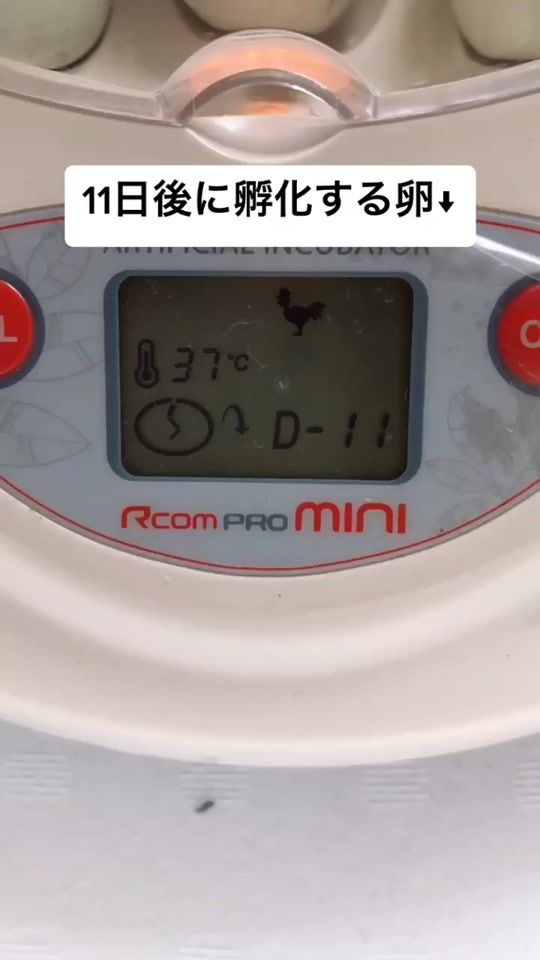 TikTok video thumbnail by fukayachan