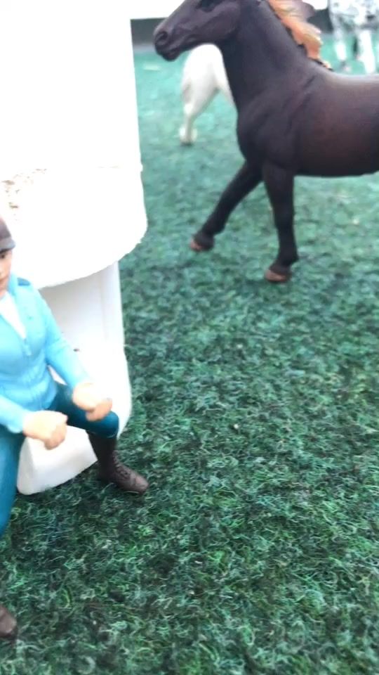 TikTok video thumbnail by schleich.lrk