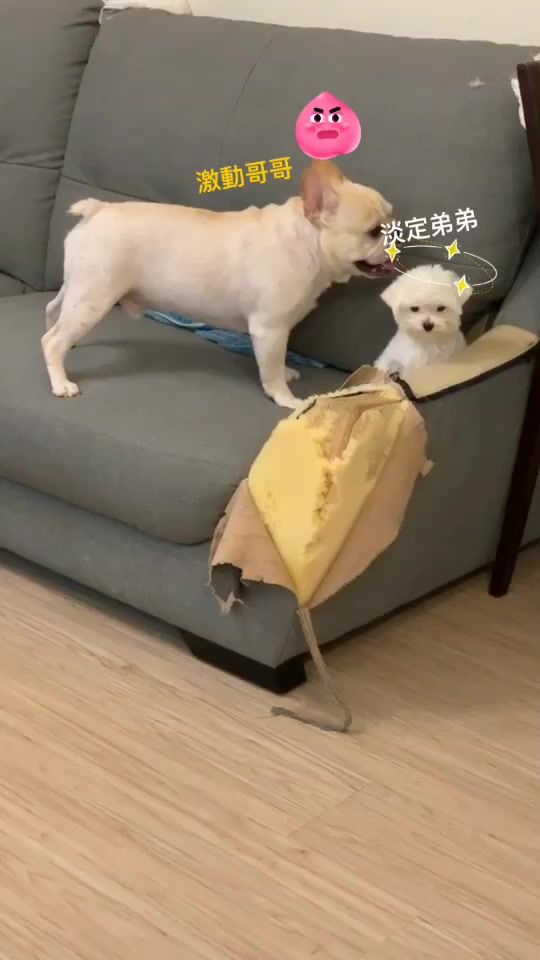 TikTok video thumbnail by mei42995