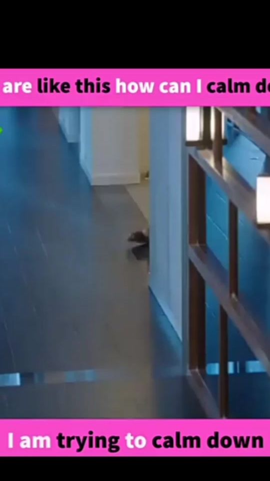 TikTok video thumbnail by _admin_08