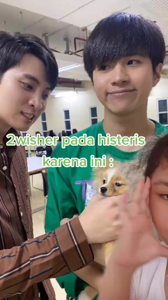 TikTok video thumbnail by mewgulfies