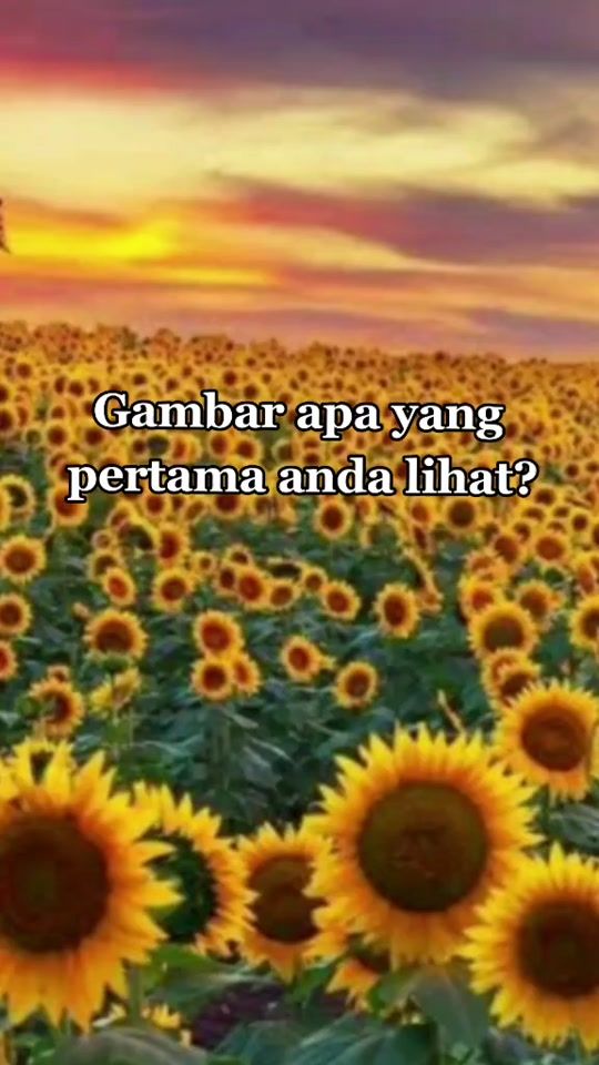 TikTok video thumbnail by rrumiriss