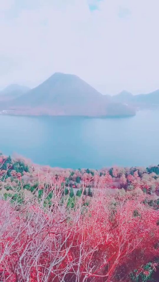 TikTok video thumbnail by __maa.trip__