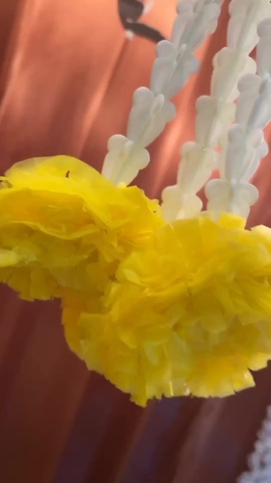 TikTok video thumbnail by tirupathisrinivasa