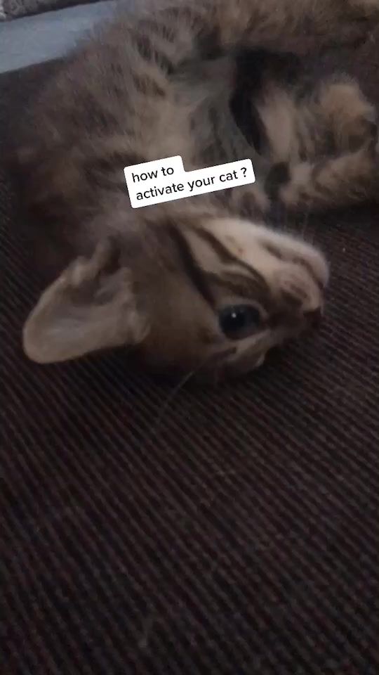 TikTok video thumbnail by ajujie