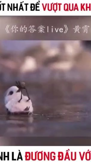 TikTok video thumbnail by manhsumo