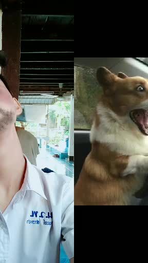 TikTok video thumbnail by pokpakhaha2000