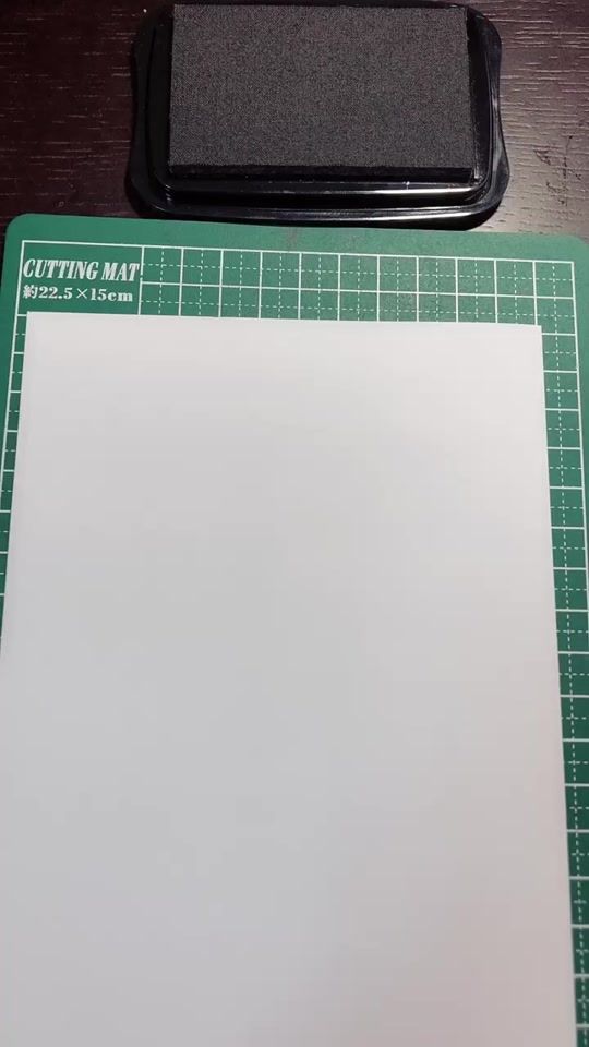 TikTok video thumbnail by chanyu.stamp
