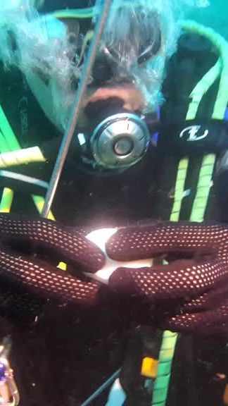 TikTok video thumbnail by jangschul