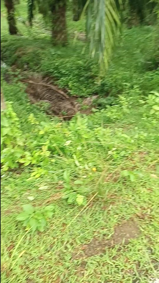 TikTok video thumbnail by max_5756