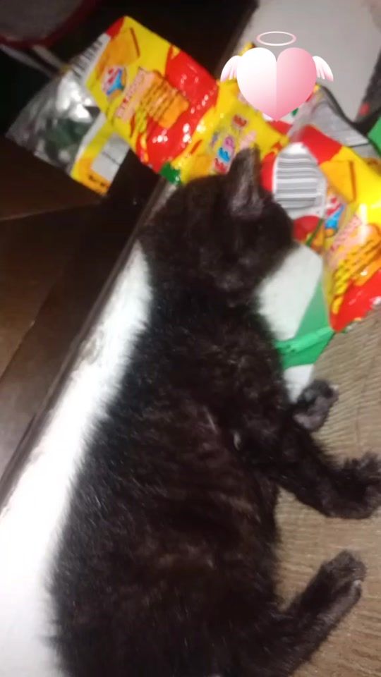 TikTok video thumbnail by sophiestar1231