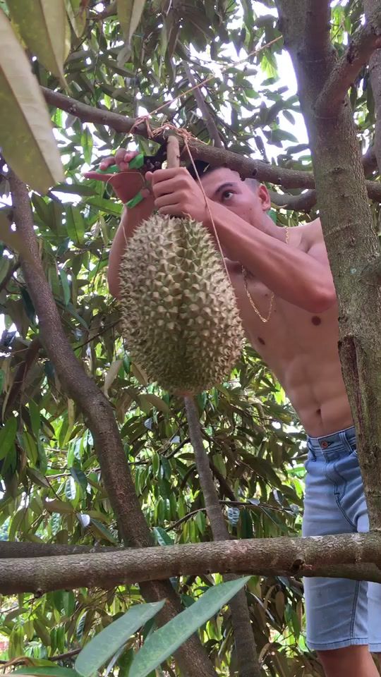 TikTok video thumbnail by kritsada25421999