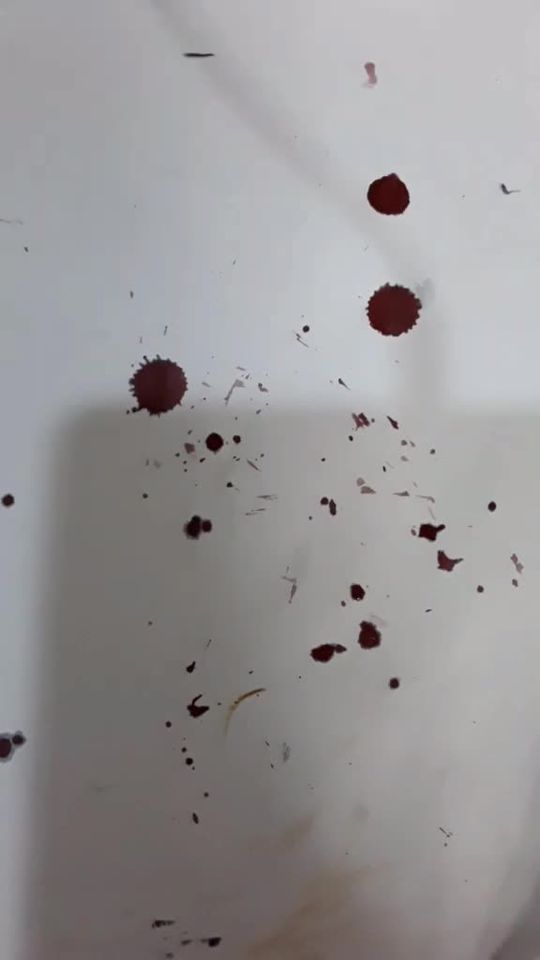 TikTok video thumbnail by marmotuy191