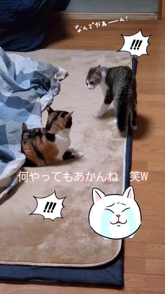 TikTok video thumbnail by user1115986931983
