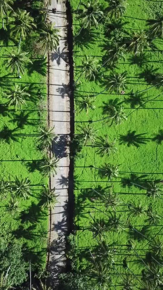 TikTok video thumbnail by eye0816