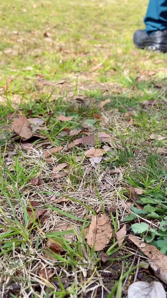 TikTok video thumbnail by kou_cos18