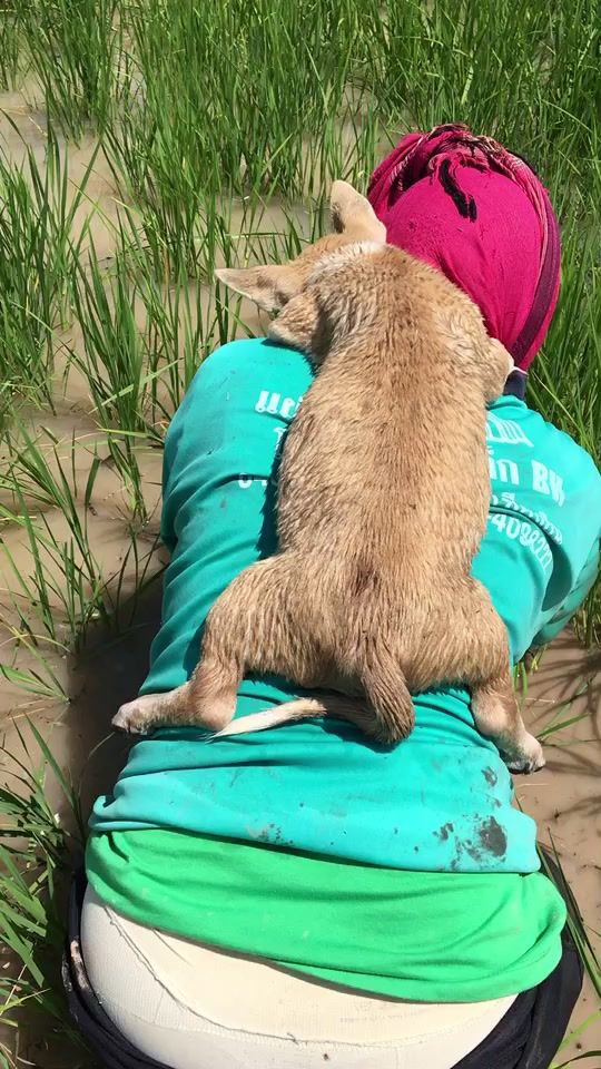 TikTok video thumbnail by chaimongkolduangwongsa