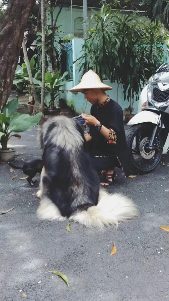 TikTok video thumbnail by oanhxinhstore